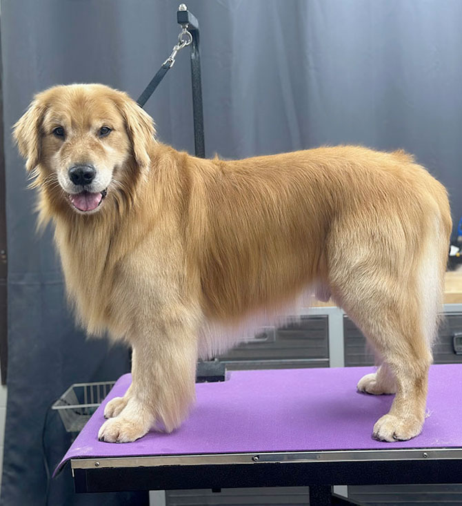 De-Shedding