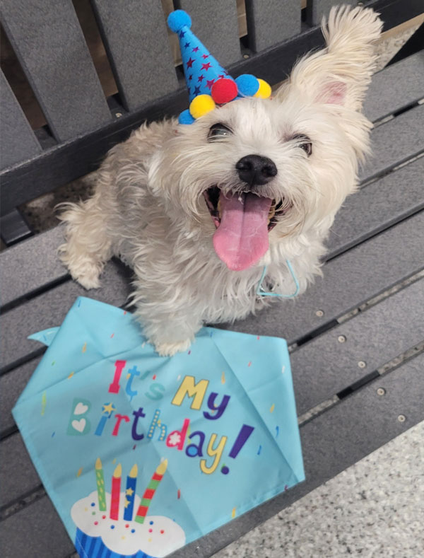 Birthday Package
