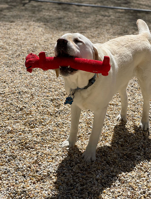 Play Time