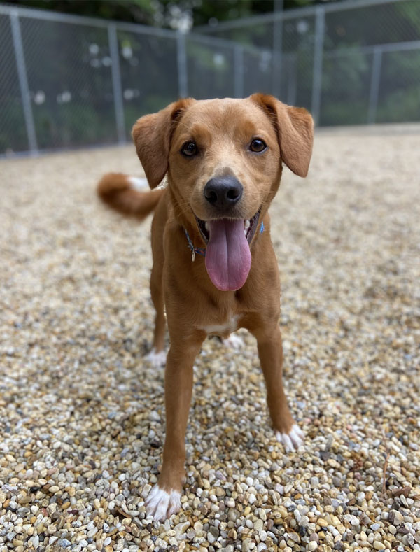 Yard Time